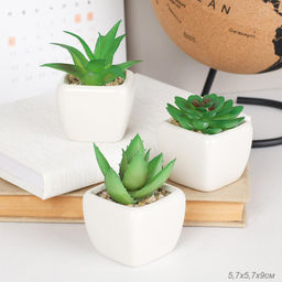 Цветочная композиция Кактус / FA2890 /уп 12/192/