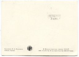 Открытка Соболь черный Художник В.Л.Колганов