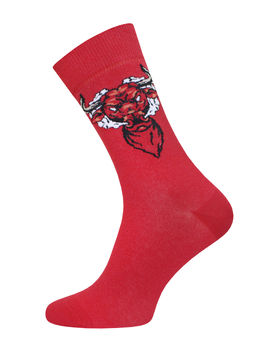 ALFA КОМПЛЕКТ (ТРУСЫ И НОСКИ) 4104 TUBE красный - Conte elegant фото 3