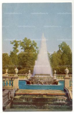 Открытка Ленинград  Петродворец. Фонтан Пирамида