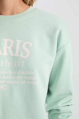 Женская толстая повседневная толстая толстая толстая повседневная толстовка с круглым вырезом и принтом оверсайз, широкий крой - Defacto фото 5