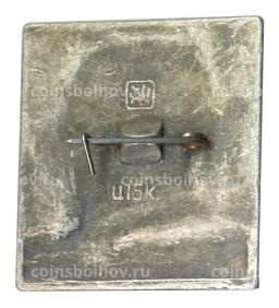 Значок В.Д. Поленов