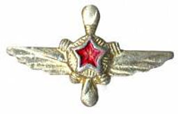 Значок Эмблема Военно-воздушные силы техник