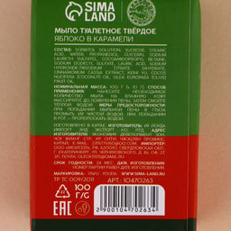 Подарочный набор новогодний URAL LAB Тёплой зимы: мыло для рук кусковое, 2х100 г  фото 6