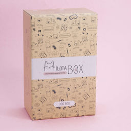 MilotaBox mini Dog - MILOTA BOX фото 6