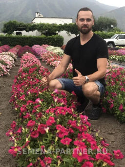 Петуния Кэнди Фредерика прямостоячая розово-пурпурная - Партнер фото 9