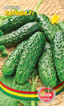 Огурец КАТЮША F1 Проверенный годами гибрид с отменной урожайностью! Отличные огурчики для засола и маринования!