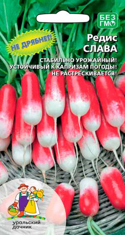 Редис СЛАВА