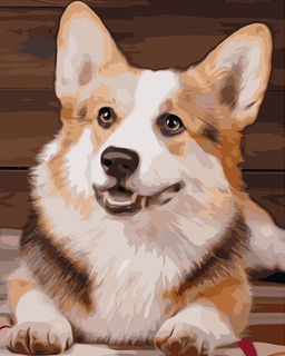 Картина по номерам на холсте и подрамнике 40х50 см