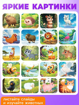 Адвент - календарь с проектором Животные мира, 9 слайдов, 72 карточки - Zabiaka фото 4