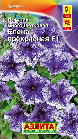 Петуния Елена Прекрасная F1 синяя с белыми штрихами 7шт. (Аэлита)