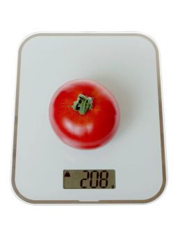 Томат Дерзкий Франк - Партнер фото 7