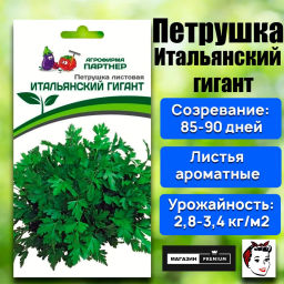 Петрушка листовая Итальянский гигант - Партнер фото 2