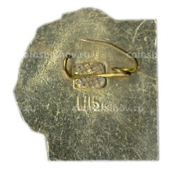 Значок Максим Горький