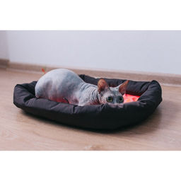 Лежанка мягкая с бортом, 55 х 40 см, микс цветов - Пижон фото 10