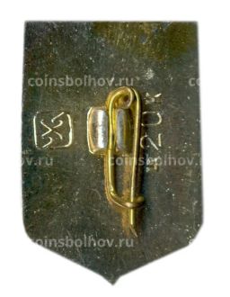 Значок Челябинск