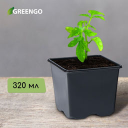 b799a870a7a407326d00b366f4c35d965z5m2l6rxrlrzmr1y2