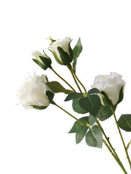 Цветы искусственные "Роза Августина галант" d-6 см 55 см, белый