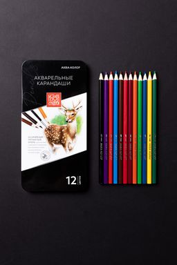 Аква-колор Изостудия IZO-WCPM12 Набор акварельных карандашей заточенный 2 х 12 цв. в металлической коробке