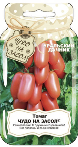 Томат ЧУДО НА ЗАСОЛ Раннеспелый! С дружным созреванием! Без подвязки и пасынкования! - Уральский дачник фото 4