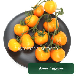 Анна Герман