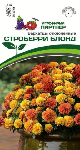 Бархатцы отклоненные Строберри Блонд