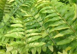 b7cc342488e4f4d629b891c0b1e67515u3vnr2dlzmdprlaop