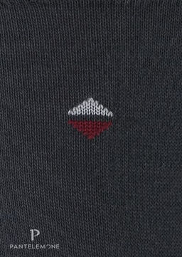 /10 пар. Мужские носки Classic PN-110