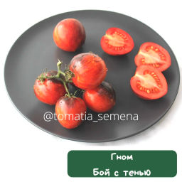 Гном Бой с тенью