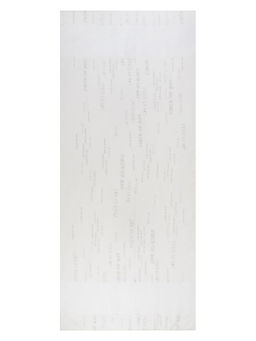 Палантин жен. шелк+хл 85х195 BL22-8300-02 - Eleganzza фото 4