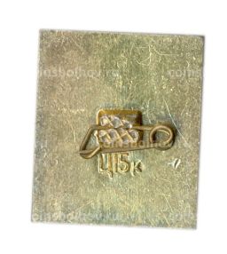 Значок Киев