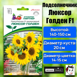 Подсолнечник однолетний декоративный Люксор Голден - Партнер фото 2