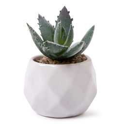 Искусственное растение Blumentag ATF-07 Растение искусственное в кашпо 6.5 х 9 см 1 шт. 01