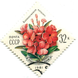 Марка Рододендрон Кочи 1981 года