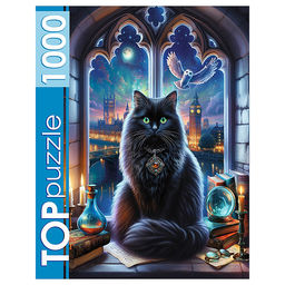 Пазлы 1000 TOPpuzzle "Магический кот"