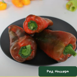 Перец Ред Носера - Tomatia фото 2