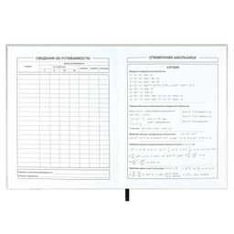 Дневник школьный арт. 59327 / 15 СКЕЙТ - Феникс+ фото 8