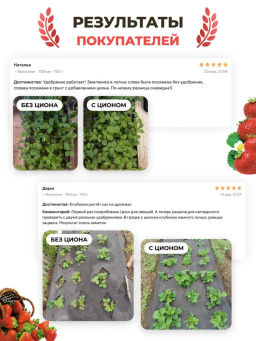 4 шт. ЦИОН для клубники (пролонгированное питание для растений), саше 30г