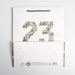 Цена за 2 шт. Пакет подарочный ламинированный, упаковка, 23 февраля, ML 23?27?11.5 см