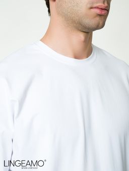 Трикотажная мужская футболка оверсайз Lingeamo ВФ-16 (1)