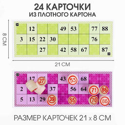 Русское лото «Для всей семьи», 24 карточки, карточка 21×8 см, 25×19×6 см