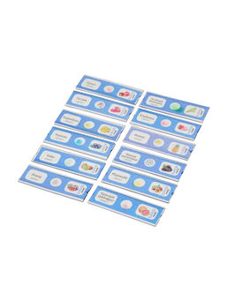 Набор для опытов «Набор микропрепаратов», фрукты и ягоды