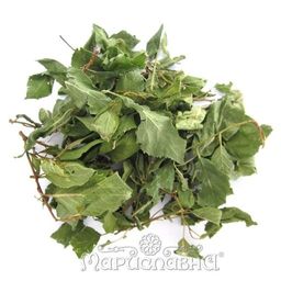 2 шт. Алыча (лист)