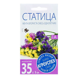 Цена за 3 шт. Семена цветов Статица Мечта флориста, смесь, О, 0,1 г