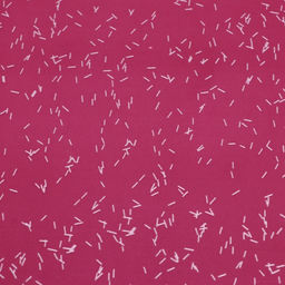 Цена за 20 шт. Пленка для цветов, Звёздное небо, винный, 57?571 см - UPAK LAND фото 3