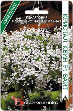 Пеларгония плющелистная ампельная Кристал Квин F1 Вайт