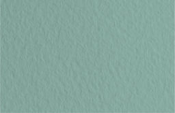 Fabriano Бумага для пастели Tiziano 160 г/м2 A1+ 70 х 100 см лист 10 л. Salvia/Темно-шалфейный 52811013