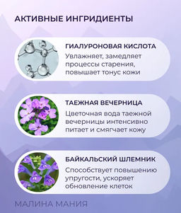 Гиалуроновый тоник-спрей Увлажнение & свежесть, 170 мл, / Doctor Taiga / Natura Siberica  фото 3