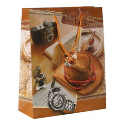 Цена за 12 шт. Пакет подарочный 26х32х10 / 115-32 /уп 12/720/ микс 23 февраля - Галеонтрейд фото 2