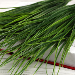 Цена за 10 шт. Зелень искусственный Осока Берграсс 37 см 7 веток / NT593 /уп 2/1500/ - Галеонтрейд фото 4